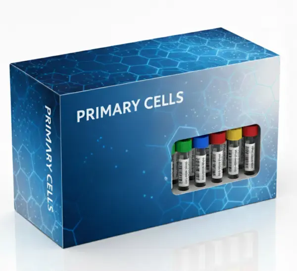 Embed Low Viscosity Epoxy Soultion A