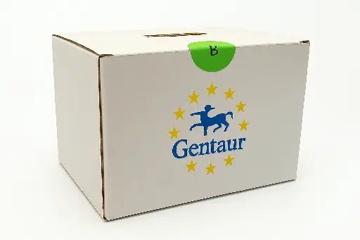 [23002 -S] EverBrite™ Mounting Medium with DAPI 10 mL